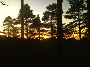 IMG_6361GTP2013blog1