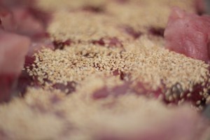 _MG_5038VetsNortasuna19082013NortasunaBlog