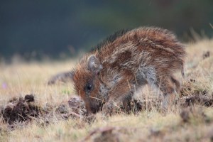 _MG_7053Otoño30092013