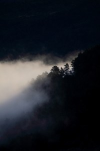 _MG_7067Otoño01102013