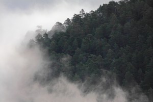 _MG_7072Otoño01102013