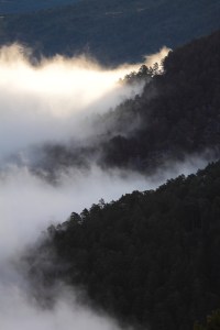 _MG_7095Otoño01102013