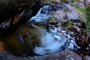 _MG_7425Otoño05102013