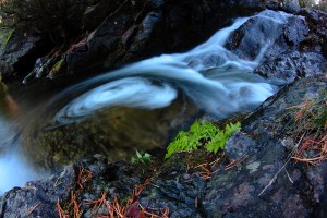 _MG_7436Otoño05102013