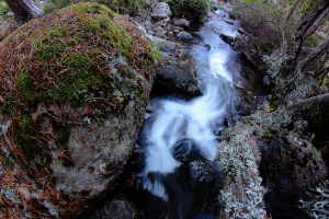 _MG_7461Otoño05102013